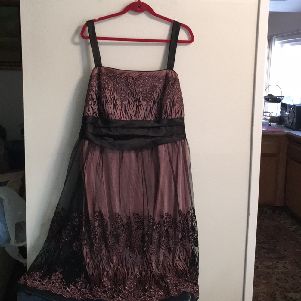 R and M Richards NWOT women dress 24W